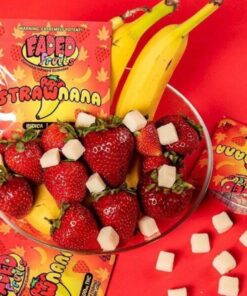 Faded Fruits Box – 25 Packs