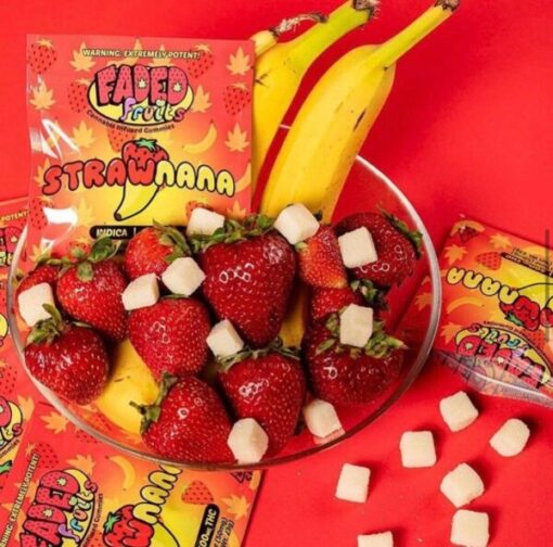 Faded Fruits Box – 25 Packs